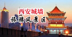 要操美丽骚女人的骚逼啪啪毛片免费视频中国陕西-西安城墙旅游风景区